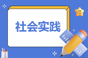 800字实践总结报告