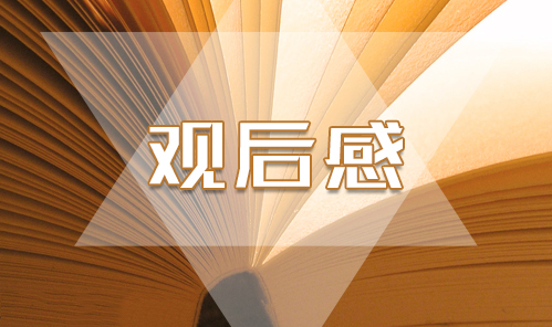 2020扶贫队长丁铁刚先进事迹宣讲会观后感个人感悟