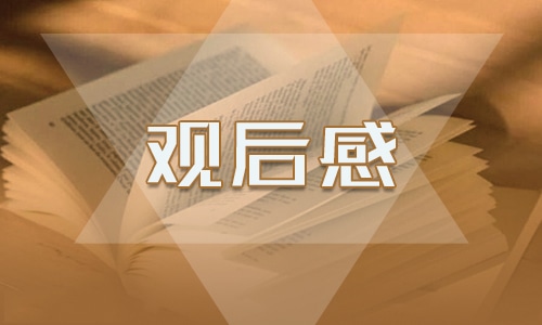 交通安全教育观后感学习心得